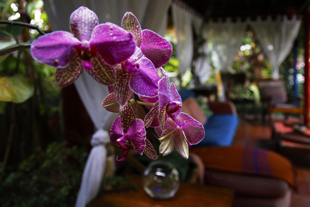 Dazkarizeh73 Villa ริเบรา บราวา ภายนอก รูปภาพ